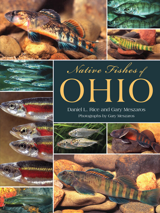 Title details for Native Fishes of Ohio by Daniel L. Rice - Available